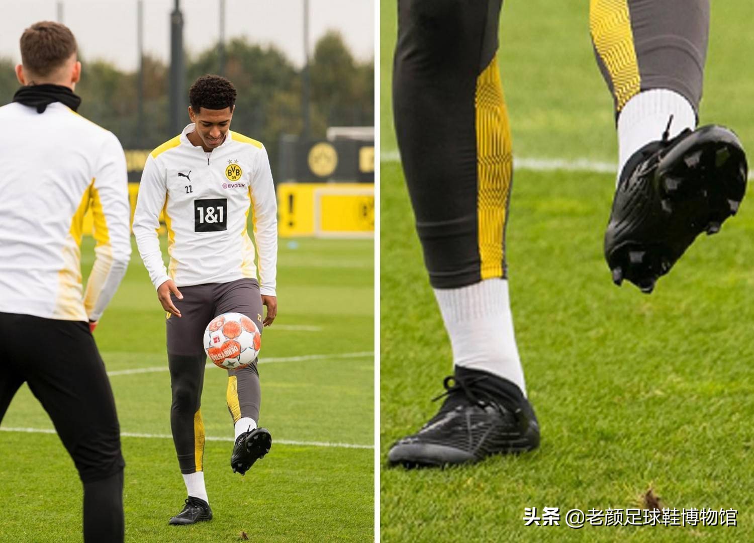 可能成为沙 可能成为沙